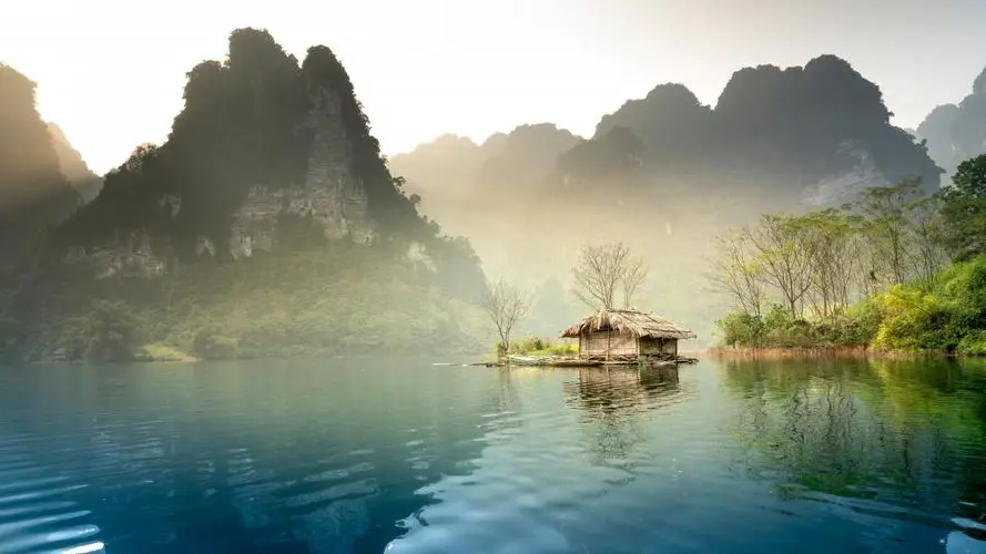 智能系统智慧独特